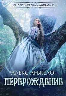 Сандарская академия магии. Перерождение / Алекс Анжело