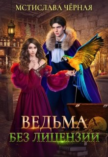 Ведьма без лицензии / Мстислава Чёрная