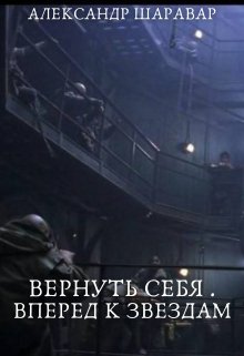 Вернуть себя. Вперед к звездам. Том 0 / Александр Setroi Шаравар