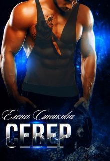 Север (1 книга серии Берсерки) / Елена Синякова