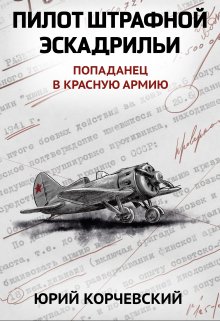 Пилот штрафной эскадрильи / Издательство Феникс