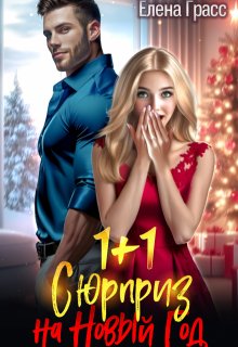 1 + 1. Сюрприз на Новый год / Елена Грасс