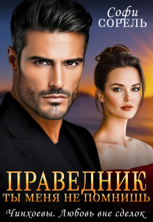 Праведник. Ты меня не помнишь / Софи Сорель