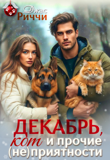 Декабрь, кот и прочие (не)приятности / Джас Риччи