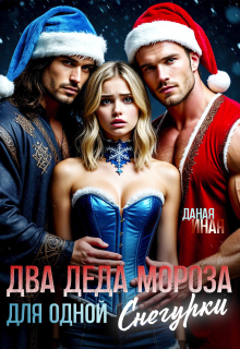 Два Деда Мороза для одной Снегурки / Даная Иная