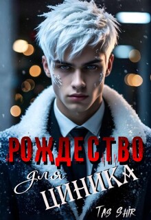 Рождество для Циника / TasShir