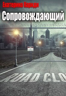 Сопровождающий / Екатерина Кариди
