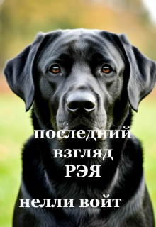Последний взгляд Рэя / Нелли Войт