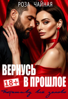 Вернусь в прошлое. Переживу всё заново нормально / Роза Чайная