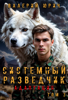 Системный разведчик. Адаптация. Том 3 / Валерий Юрич