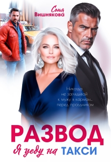 Развод. Я уеду на такси / Соня Вишнякова